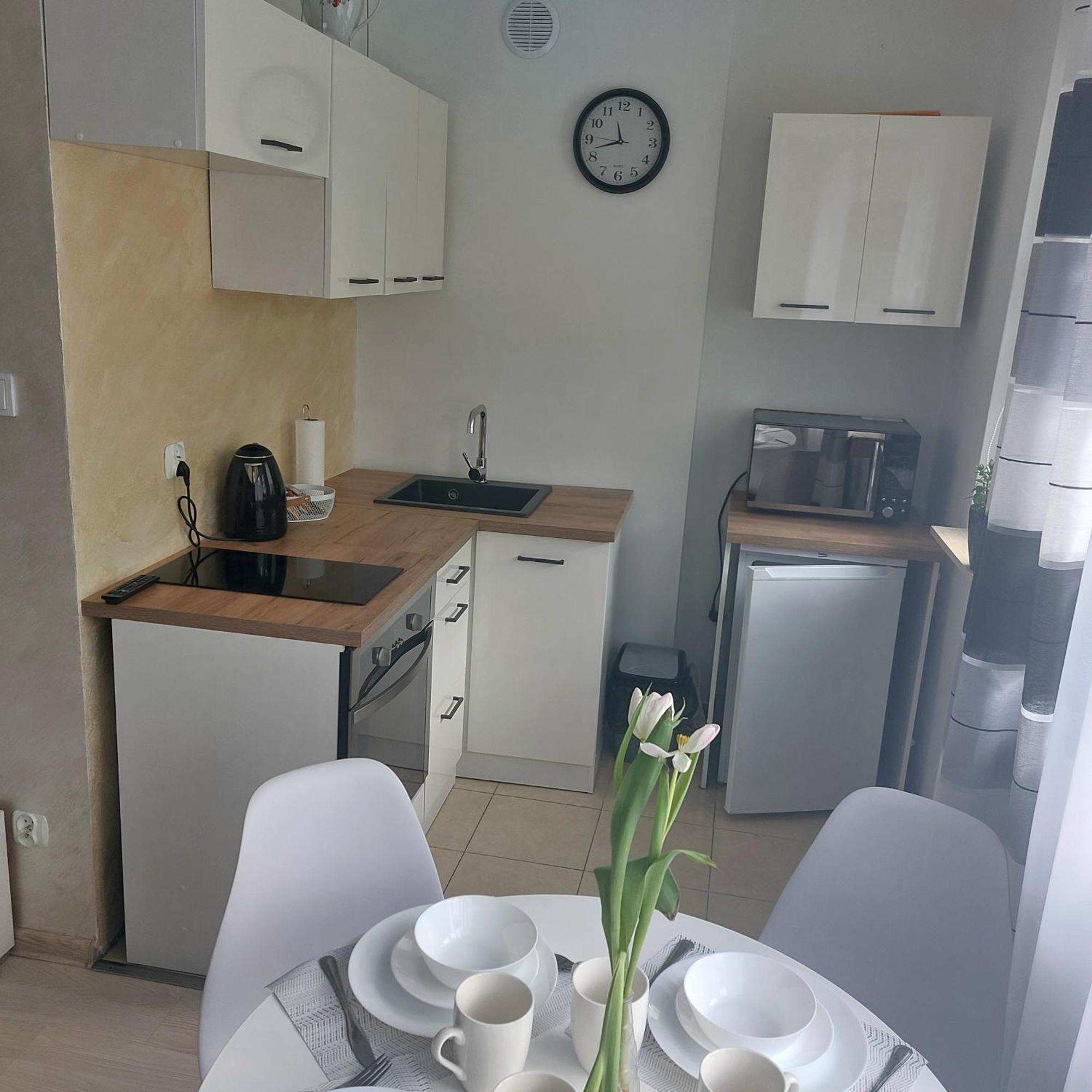 Apartament Mazurska كونتشن المظهر الخارجي الصورة